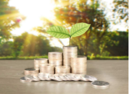 不知道哪个炒股入门安全？五个实用标准帮你避坑