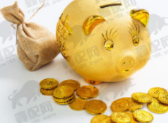 股票配资平台的风险控制与投资策略：以牛策略为例的深度剖析