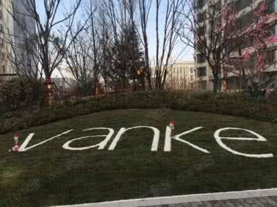 最新股票配资平台动态：2025年行业新规与影响